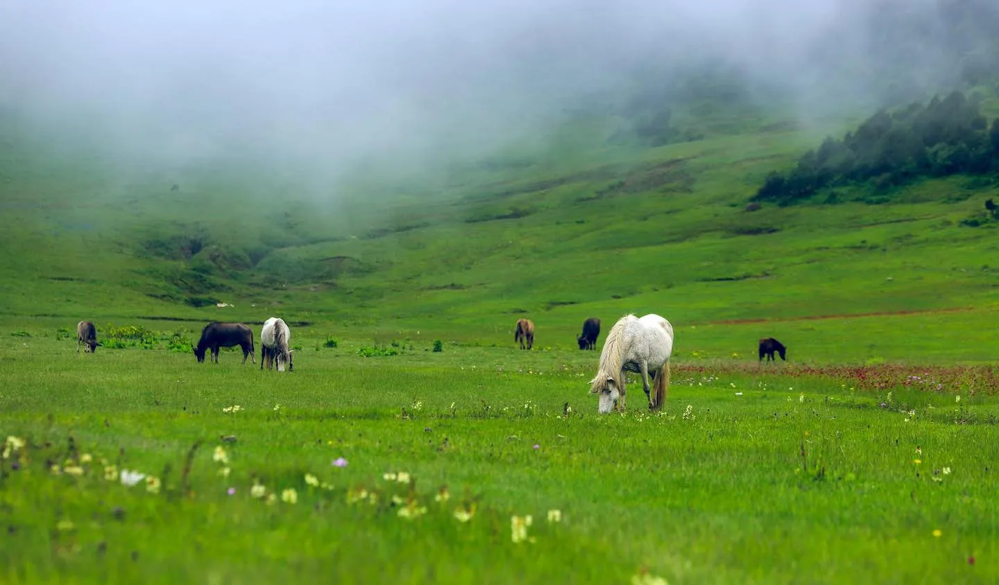 Dhorpatan Hunting Trek