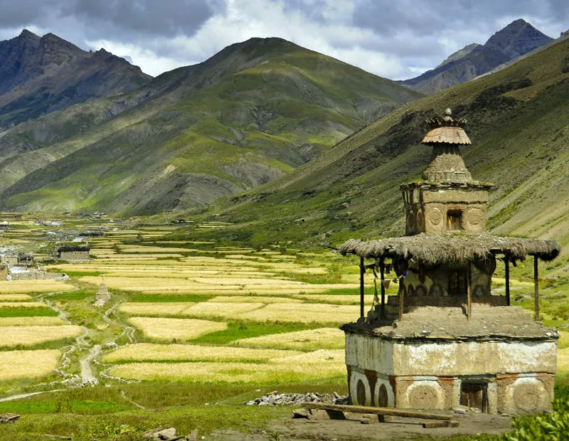 lower dolpo
