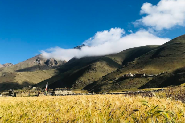 lower dolpo