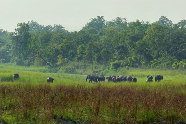 Bardia National Park Tour