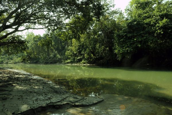 Bardia National Park Tour