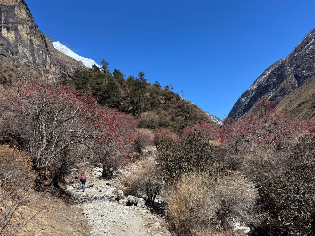 Trekkinginmountain.com
Sustainable Trekking Destinations